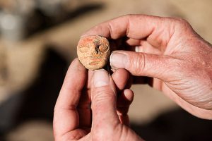 Chavin (department photo)