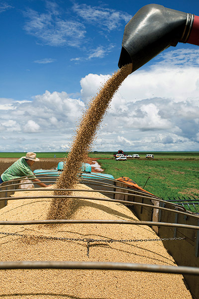 Brazil wants farmers to help save the . Will it work?