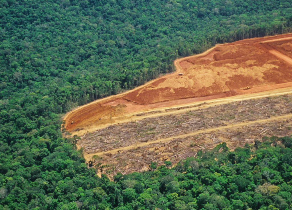 Bolsonaro’s Credibility on the Amazon Is Gone