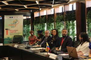 Indigenous leaders and OTCA member countries' representatives at a meeting in Brasilia in July.