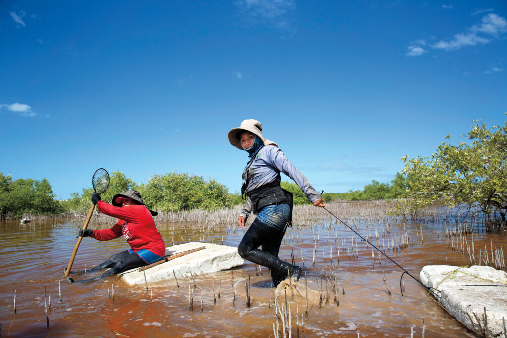 Claudia Maribel Vera Pech, left, 38, and Regina Laudalina Valle Chim, 47, of the award-winning Chelemeras group trek through a wetland toward the beginnings of a new forest, planted by hand