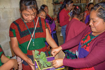 Participants in The Hunger Project’s Chiapas initiative display their homemade products in Tzoeptic.