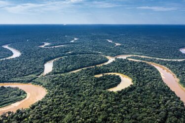 The Ituí and Itaquaí Rivers flow through the Vale do Javari Indigenous Territory in Brazil.