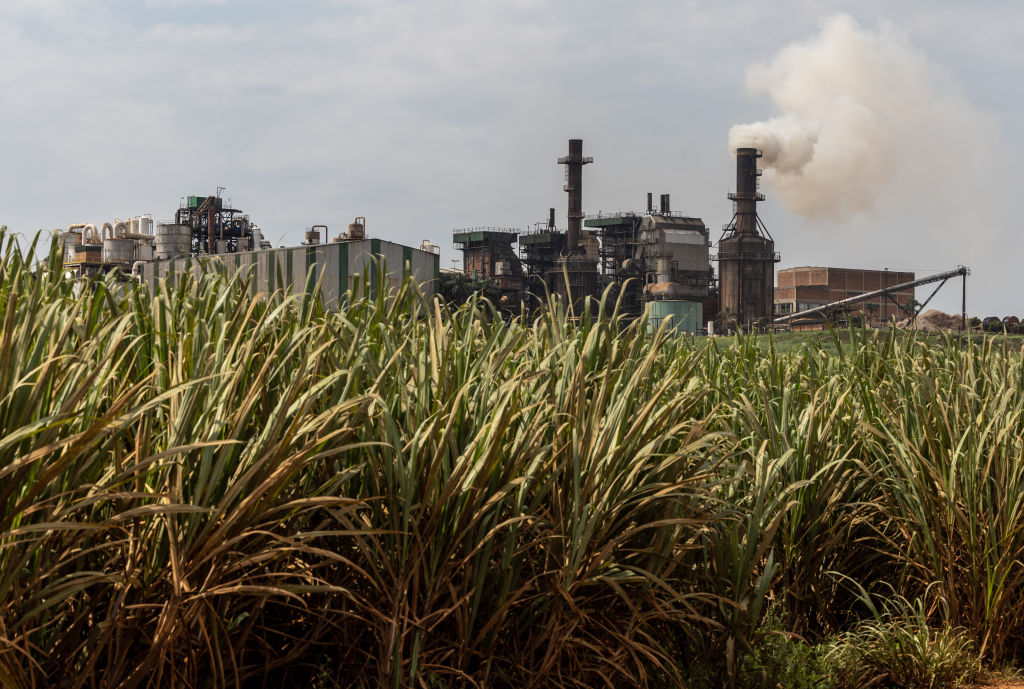 Biofuels’ Boom Meets Brazil’s Criminal Frontier