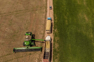 A soybean field during a harvest near Mambai, Goias state, Brazil, in March 2026.