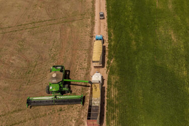 A soybean field during a harvest near Mambai, Goias state, Brazil, in March 2026.